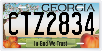 GA license plate CTZ2834