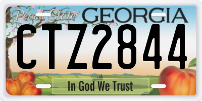 GA license plate CTZ2844