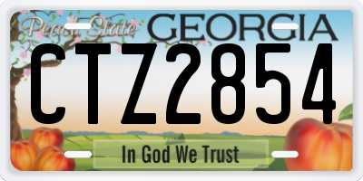 GA license plate CTZ2854