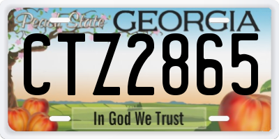 GA license plate CTZ2865