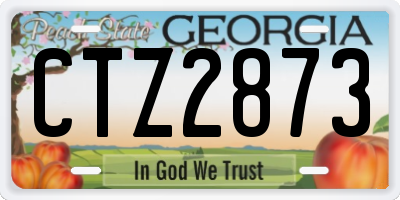 GA license plate CTZ2873