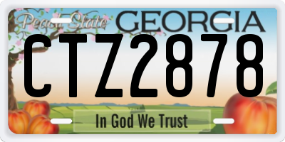 GA license plate CTZ2878