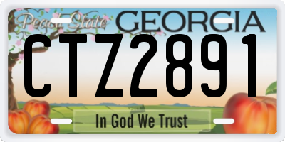 GA license plate CTZ2891