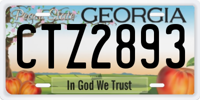 GA license plate CTZ2893