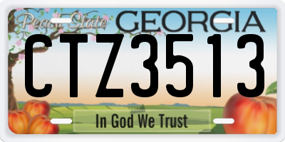 GA license plate CTZ3513