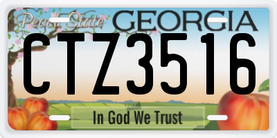 GA license plate CTZ3516