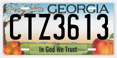GA license plate CTZ3613