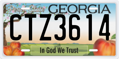 GA license plate CTZ3614