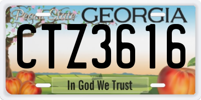 GA license plate CTZ3616
