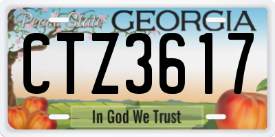 GA license plate CTZ3617