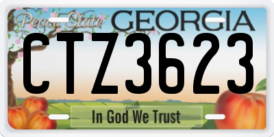 GA license plate CTZ3623