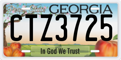 GA license plate CTZ3725