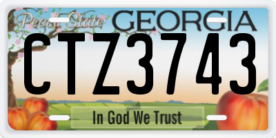 GA license plate CTZ3743