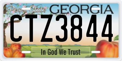 GA license plate CTZ3844