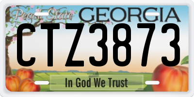 GA license plate CTZ3873