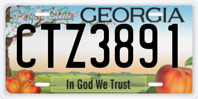GA license plate CTZ3891