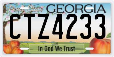 GA license plate CTZ4233