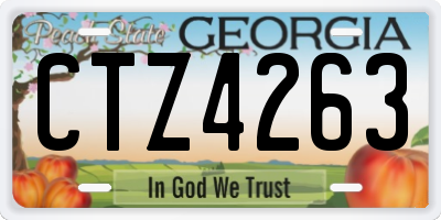 GA license plate CTZ4263