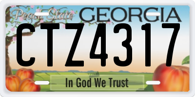 GA license plate CTZ4317