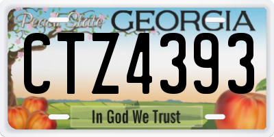 GA license plate CTZ4393