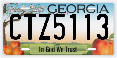 GA license plate CTZ5113