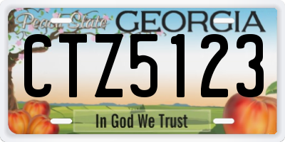 GA license plate CTZ5123