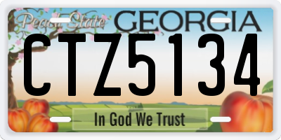 GA license plate CTZ5134