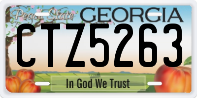 GA license plate CTZ5263
