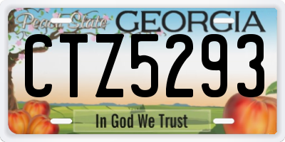 GA license plate CTZ5293