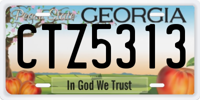 GA license plate CTZ5313