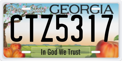 GA license plate CTZ5317