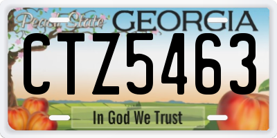 GA license plate CTZ5463