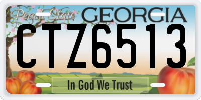 GA license plate CTZ6513