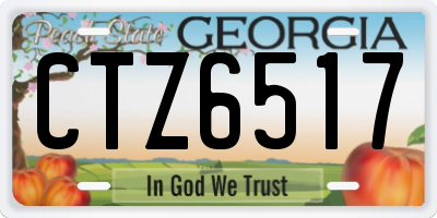 GA license plate CTZ6517