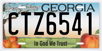 GA license plate CTZ6541