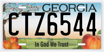 GA license plate CTZ6544