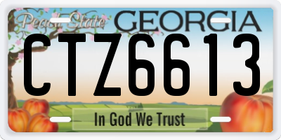 GA license plate CTZ6613