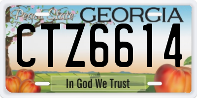 GA license plate CTZ6614