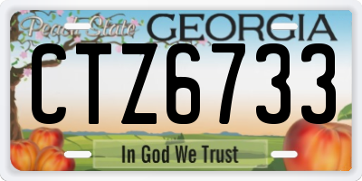 GA license plate CTZ6733