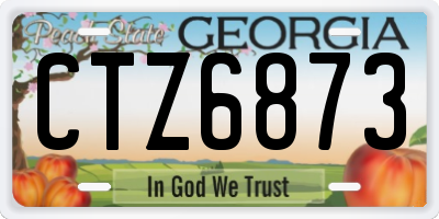 GA license plate CTZ6873