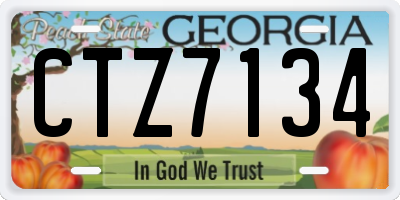 GA license plate CTZ7134