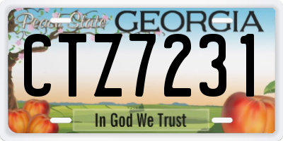 GA license plate CTZ7231