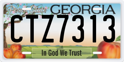 GA license plate CTZ7313
