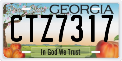 GA license plate CTZ7317