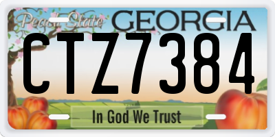 GA license plate CTZ7384