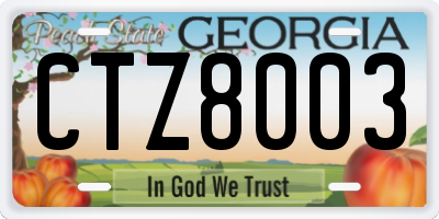 GA license plate CTZ8003