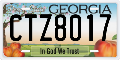 GA license plate CTZ8017