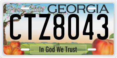 GA license plate CTZ8043