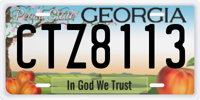 GA license plate CTZ8113
