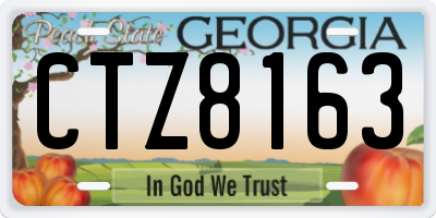GA license plate CTZ8163